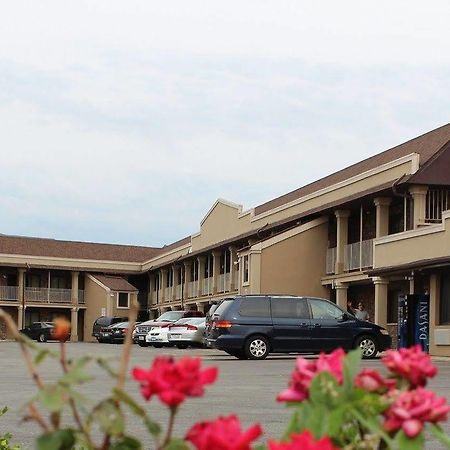 American Inn And Suites Countryside Экстерьер фото